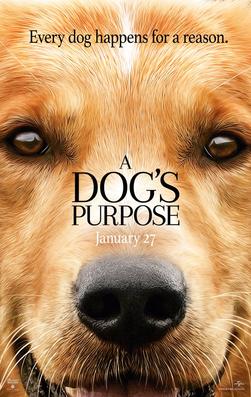 A_Dog's_Purpose_(film)