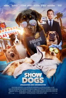 Show_Dogs